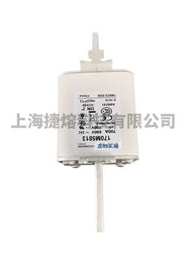170M5813  170M5959 快速熔断器  保险丝 电子元器件 量大价优
