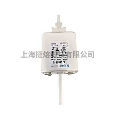 170M5813  170M5959 快速熔断器  保险丝 电子元器件 量大价优