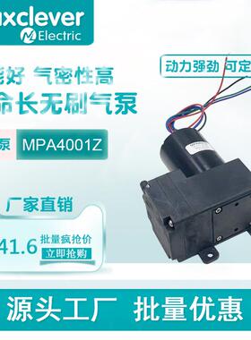 300kpa 18L微型直流气泵 12V24v 微型充气泵打气泵隔膜气泵
