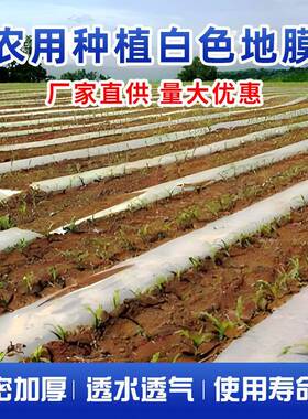 白色透明农用加厚小拱棚专冬用膜菜地保温膜BQK料种天塑布大棚防