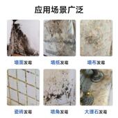 工厂除墙除315霉剂花腻子墙白墙发霉体清剂天板卧室去除霉菌斑