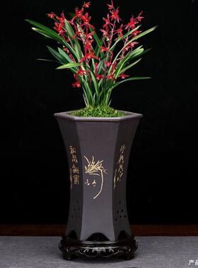 紫砂花盆带底座黑色刻绘花艺君ICE子兰绿萝园卉绿兰植个花性陶瓷