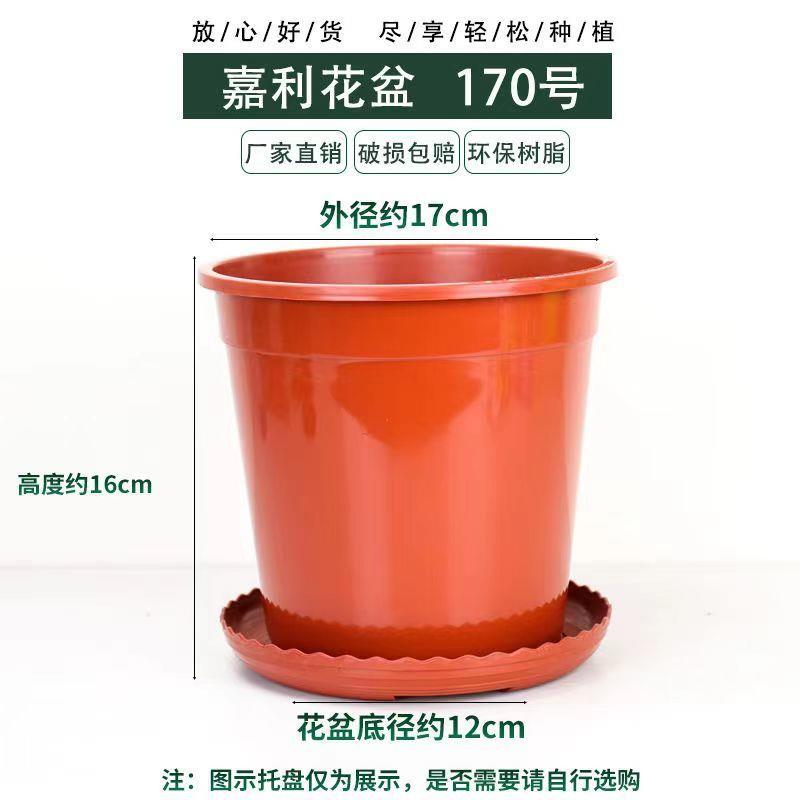 大号嘉利花盆透气透水塑