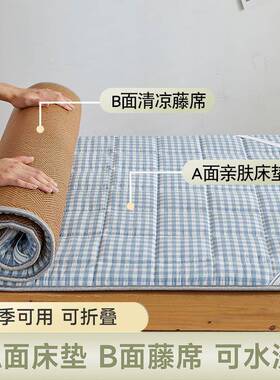 工厂新小生JUX夏季学睡凉席床垫宿舍单人小尺寸婴儿款午午托