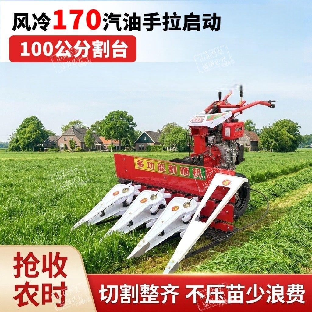 小型玉米杆苜蓿牧草药材