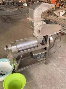 子破碎榨汁机汁菠萝榨设备浆渣汁分离RYN打汁机梨厂家