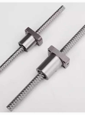 BTWE2005 2010 2020-L200 L300 L300-T20 T25T30-R K-N Y滚珠丝杆