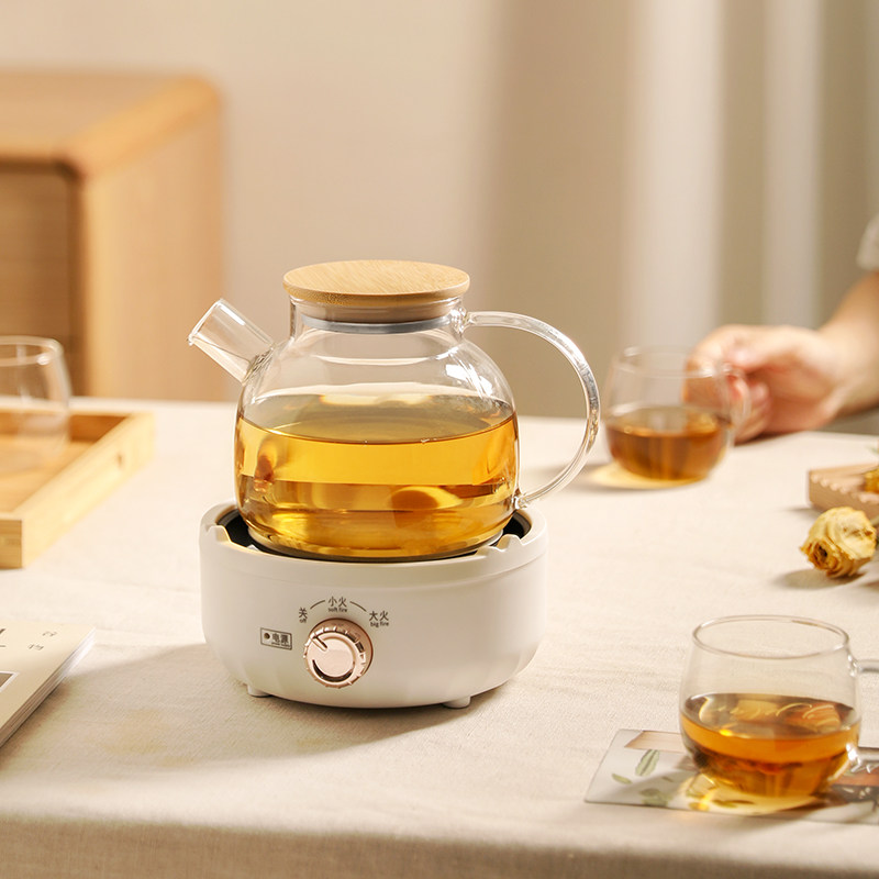 养生壶家用多功能小型mini玻璃煮茶器炉老白茶黑茶专用煮茶壶 1人