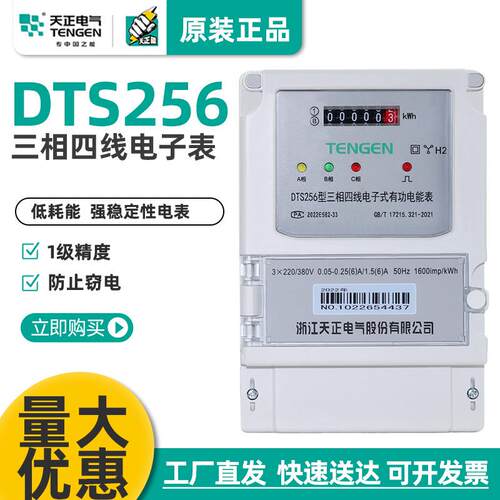 浙江天正电气电子式电能表DTS256/DSS256型三相四线单相