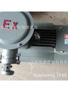 制动YE4EJ-225M-6-30电机制动Y2EJ电机TA干燥型带空间加热器230V