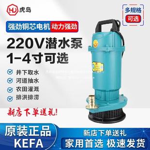 人民潜水泵220V全铜家用小型清水泵高扬程农用灌溉水泵抽水水泵