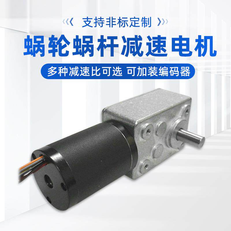 供应按摩椅电机24V无刷蜗轮蜗杆减速电机自动化机械电子设备配件