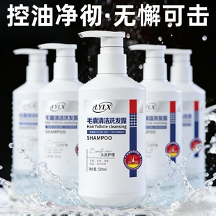 进口毛炎宁去屑洗发水清洁头皮止痒控油蓬松洗发露 重度头屑