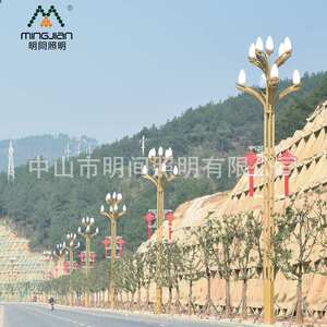 厂家直销城市景观广场主干道玉兰灯 6米8米系列led九火中华路灯
