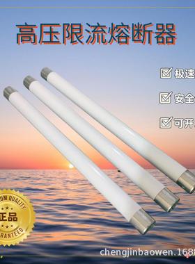 XRNP1-35-40.5KV/0.5A1A2A3A高压断熔断器PT互感器保险陶瓷跨境