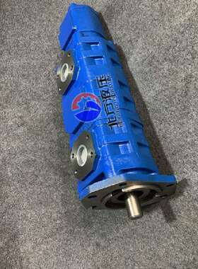 供应装载机齿轮泵P7600F140NP3676GR