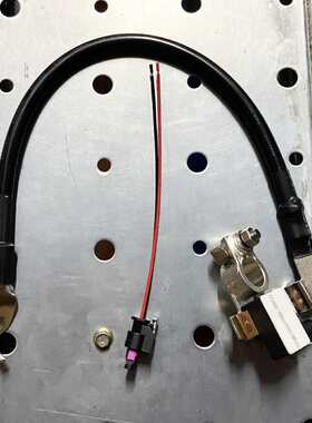 适用福特 电瓶负极电池线 AV6Z-10C679-P 2263007 ED8T14301AG