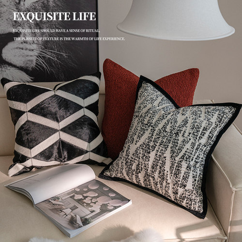 2023新款高档大气现代轻奢客厅沙发抱枕样板间高级感靠垫床头靠枕