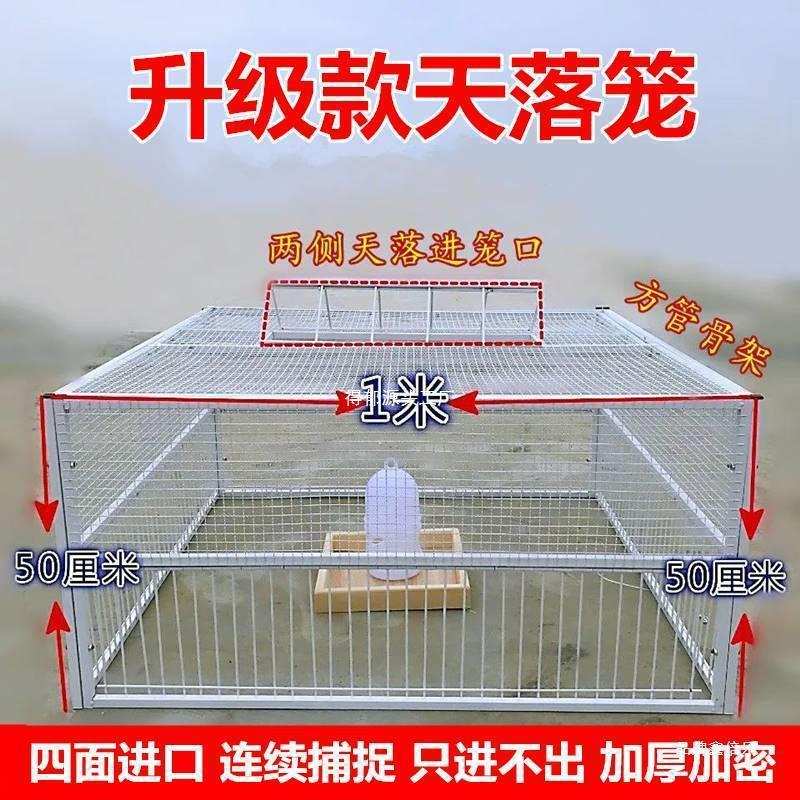鸽神器抓鸽子笼全自动自动跳门撞门笼鸽子用具