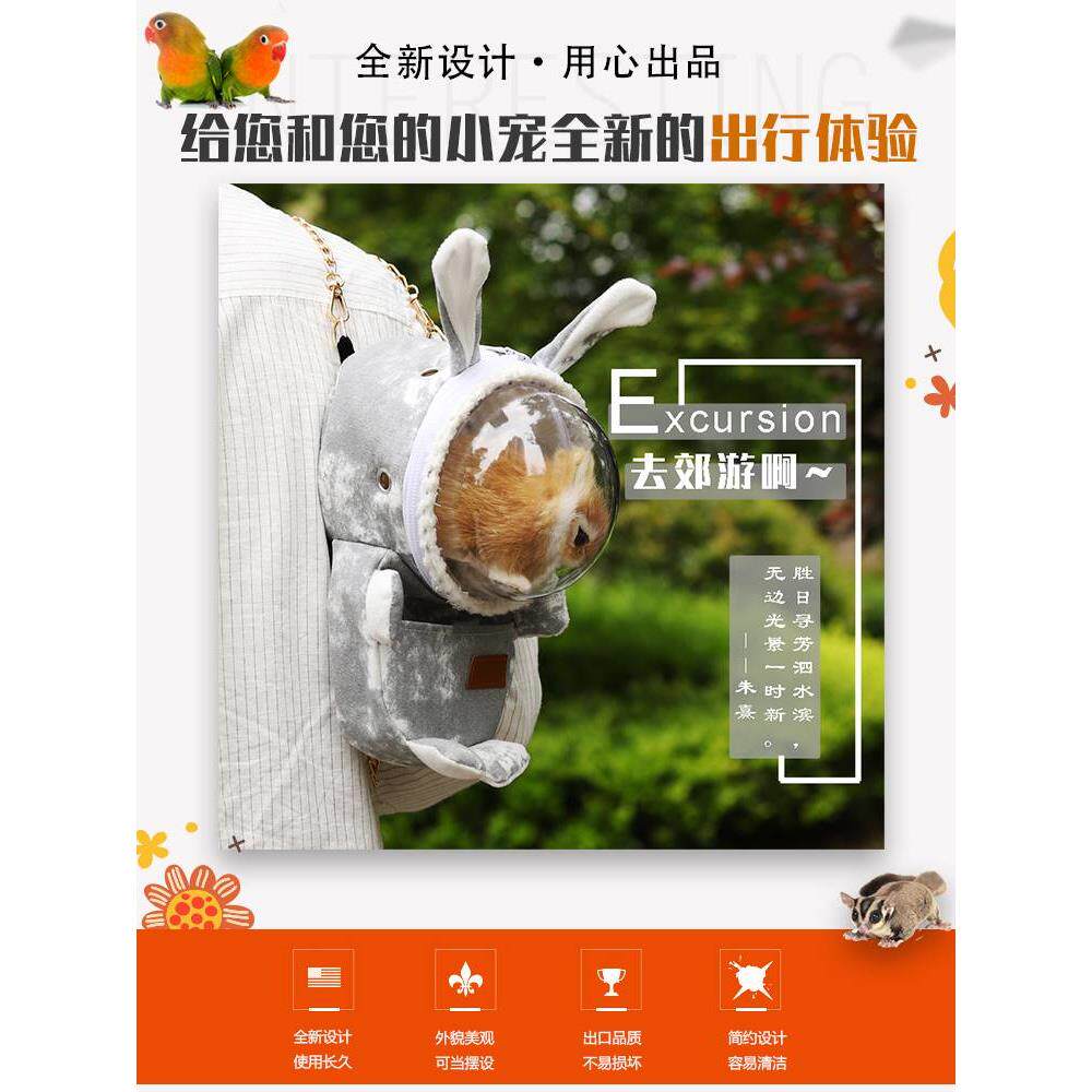 蜜袋鼯外出包荷兰猪松鼠外带包玄风鹦鹉非迷包小宠侏儒兔袋笼保暖