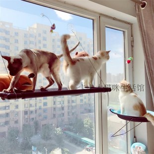 猫咪玻璃吊床吸盘式冬天窝窗台玻璃猫秋千吊床挂式窝床猫晒太阳器