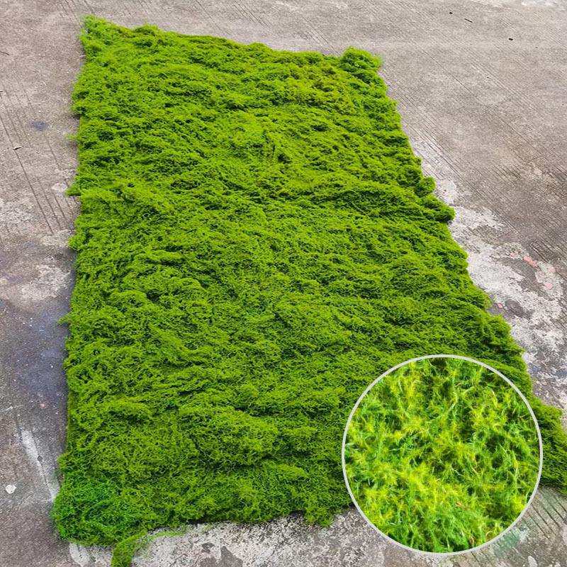 青苔加厚仿真假苔藓曲丝绿色植物橱窗造景装饰落地植绒草皮坪地毯