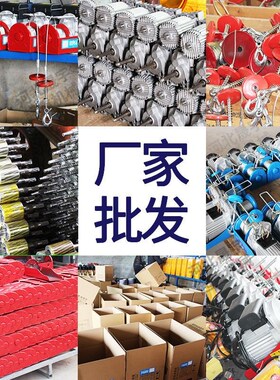 PA微型电动葫芦家用110V230V提升机吊粮机小型钢丝绳电动葫芦440V