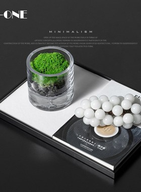 Rzone 现代轻奢样板间床头柜玻璃苔藓小花器桌面绿植软装饰品摆件
