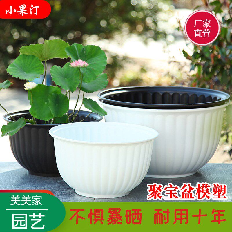 包邮小果汀网红水培盆荷花睡莲铜钱草无孔大号室内外树脂加仑花盆