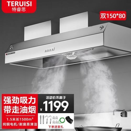 特睿思TERUISI油烟机商用油烟净化器饭店炸鸡餐饮低空排放环