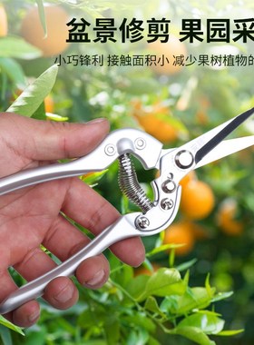安藤摘果疏果剪AT-8S38尖头家用花卉疏花稀果蔬葡萄园艺修枝剪刀