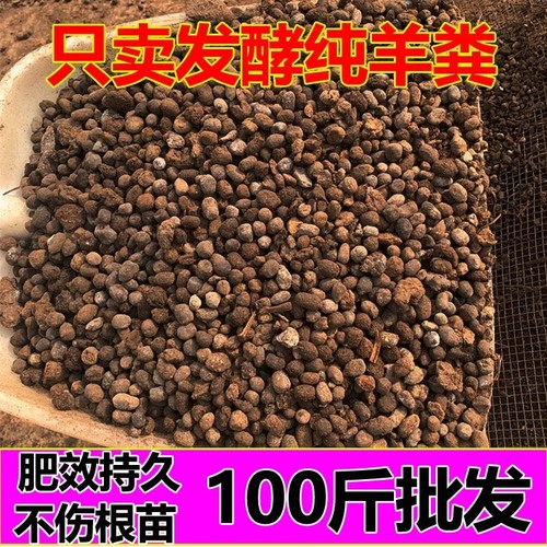 有机肥100-60斤羊粪蛋纯羊粪发酵肥盆栽菜园花卉果树植物通用肥料