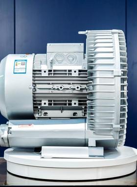 390twxBH1610-7H57H7.5KW双y段高温灭菌用高压2风机