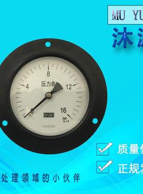 YJ-100ZT 16bar 轴向带边压力表 面板式压力表 可充油耐震压力表