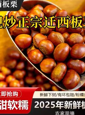 现炒迁西板栗带壳糖炒健康零食