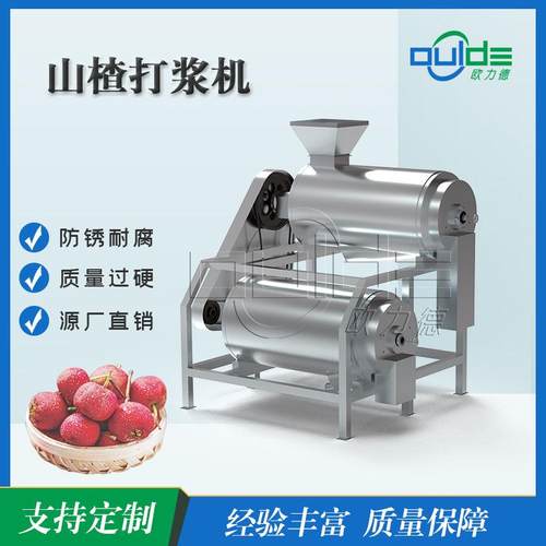 工厂直供MDJ2系列不锈钢工业去籽去核出浆快双道山楂打浆机