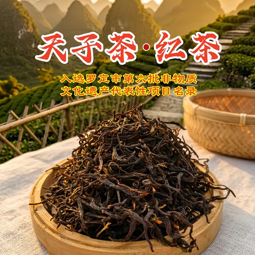 红茶2026新茶罗定天子茶春茶耐泡