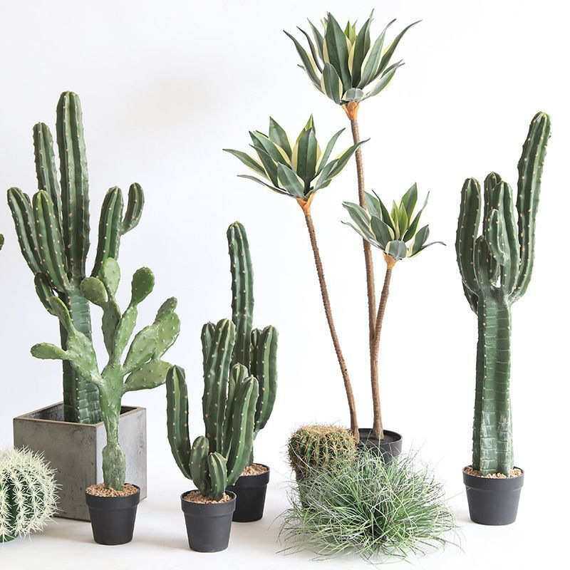 仙人柱造景大型摩洛哥仙人柱盆栽沙生植物组合假绿植装饰摆件草垛