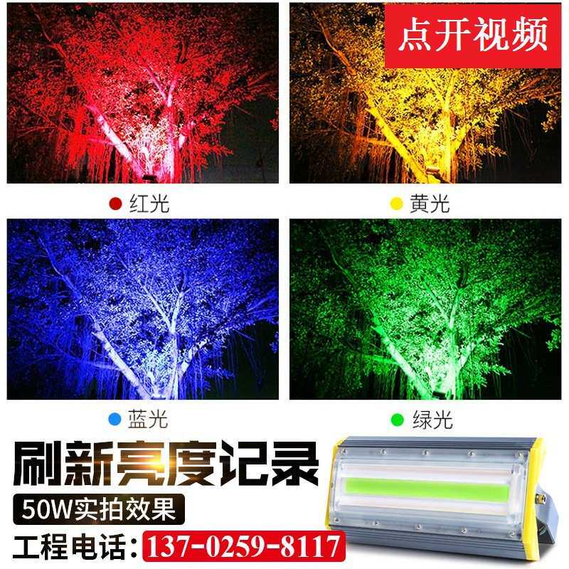 led七彩射灯户外投光灯防水射树灯园林绿化景观照树灯庭院草坪灯