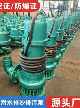 矿用隔爆型潜水排沙电泵BQS1.5kw千瓦350kw防爆潜污水泵380v660伏