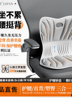 DR.SCT人体工学护腰坐靠垫久坐神器办公室座椅腰靠背护腰一体透气