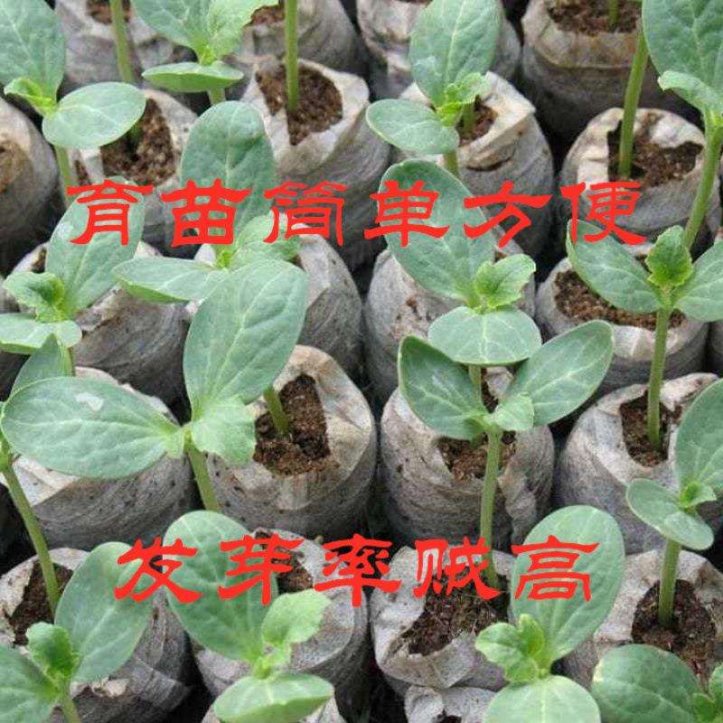 XQ育苗块压缩营养土可扦插植物可播种草花蔬菜椰糠基质无毒30-50m