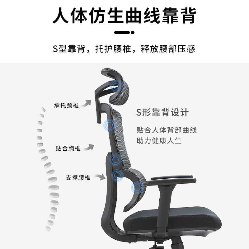 人体工学椅子家用电脑椅久坐舒服电竞座椅办公椅学习椅书房书桌椅
