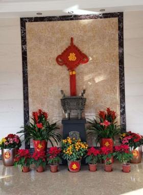 柳州除湿机 百色除湿机 广西地下室除湿机 南宁间除湿机NMT-A168C