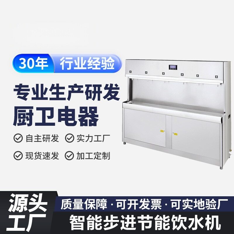 优选跨境饮水机 制热制冷台式饮水机温热学生开水机公共商用饮水