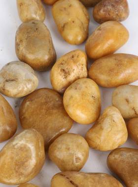 黄色鹅卵NOI小石铺软路石造石头庭院装景饰鹅暖石大小石头雨花石