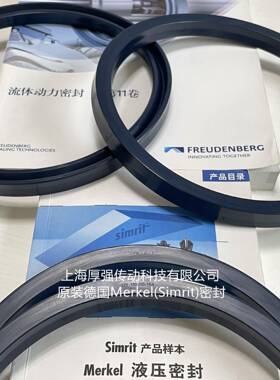 德国MERKE/E/F0RUDENBERG密封N41L143CFWT208285618-205-14.6