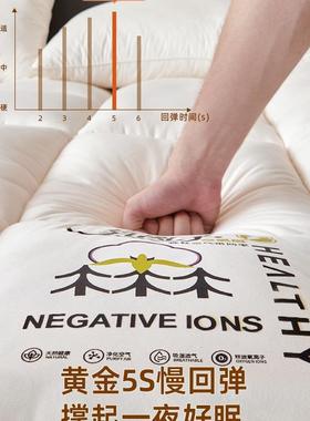 加ISL床垫软垫褥榻子家用卧室租房专用学生宿舍人单垫厚被床褥垫