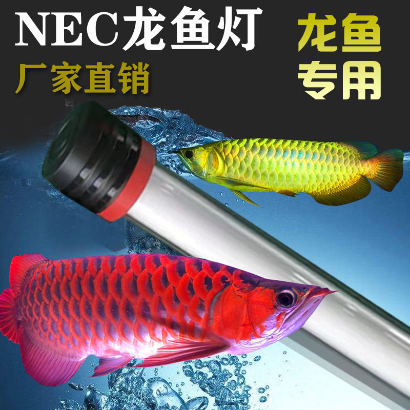 龙鱼专用NEC潜水灯LED三基色