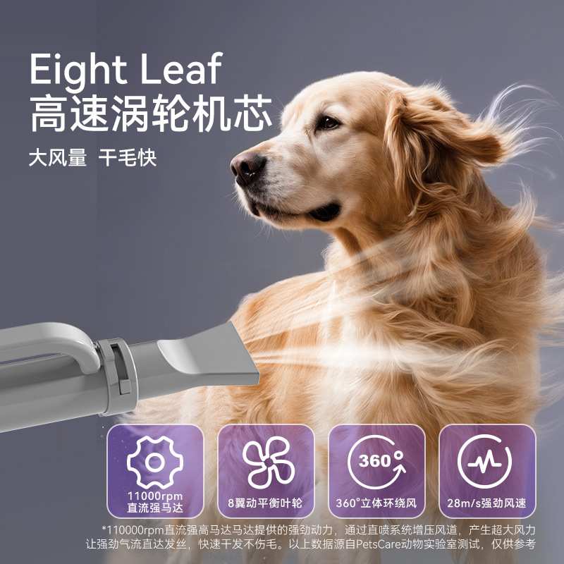 宠物吹水机智能速干大功率低噪音中大型犬金毛泰迪狗狗吹毛烘干箱